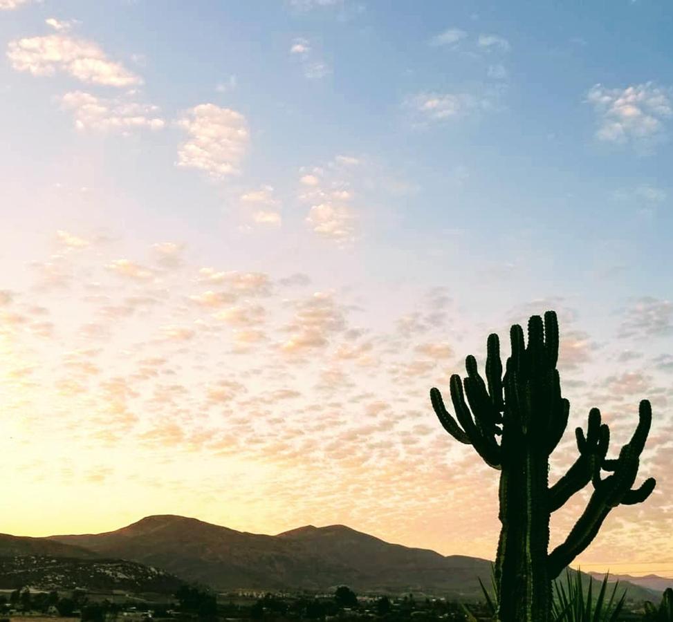 Terra Monarca Villa Valle de Guadalupe Dış mekan fotoğraf