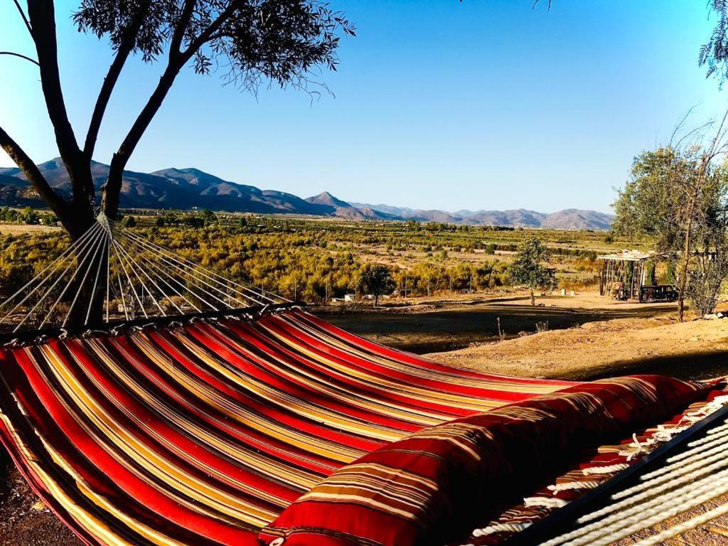 Terra Monarca Villa Valle de Guadalupe Dış mekan fotoğraf